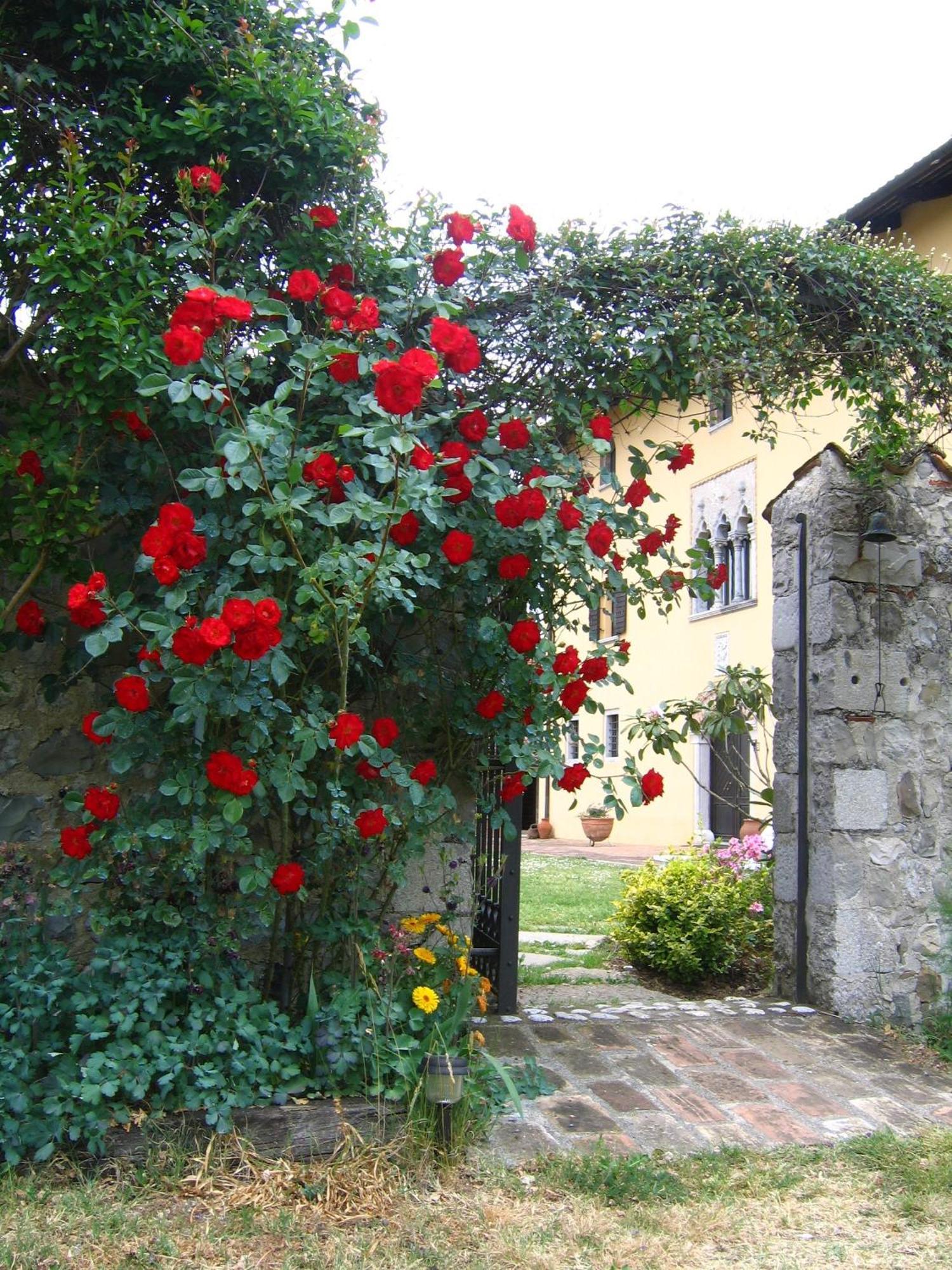 Agriturismo Domus Magna Povoletto Εξωτερικό φωτογραφία